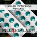 Power Spring Pills dapoxetine2